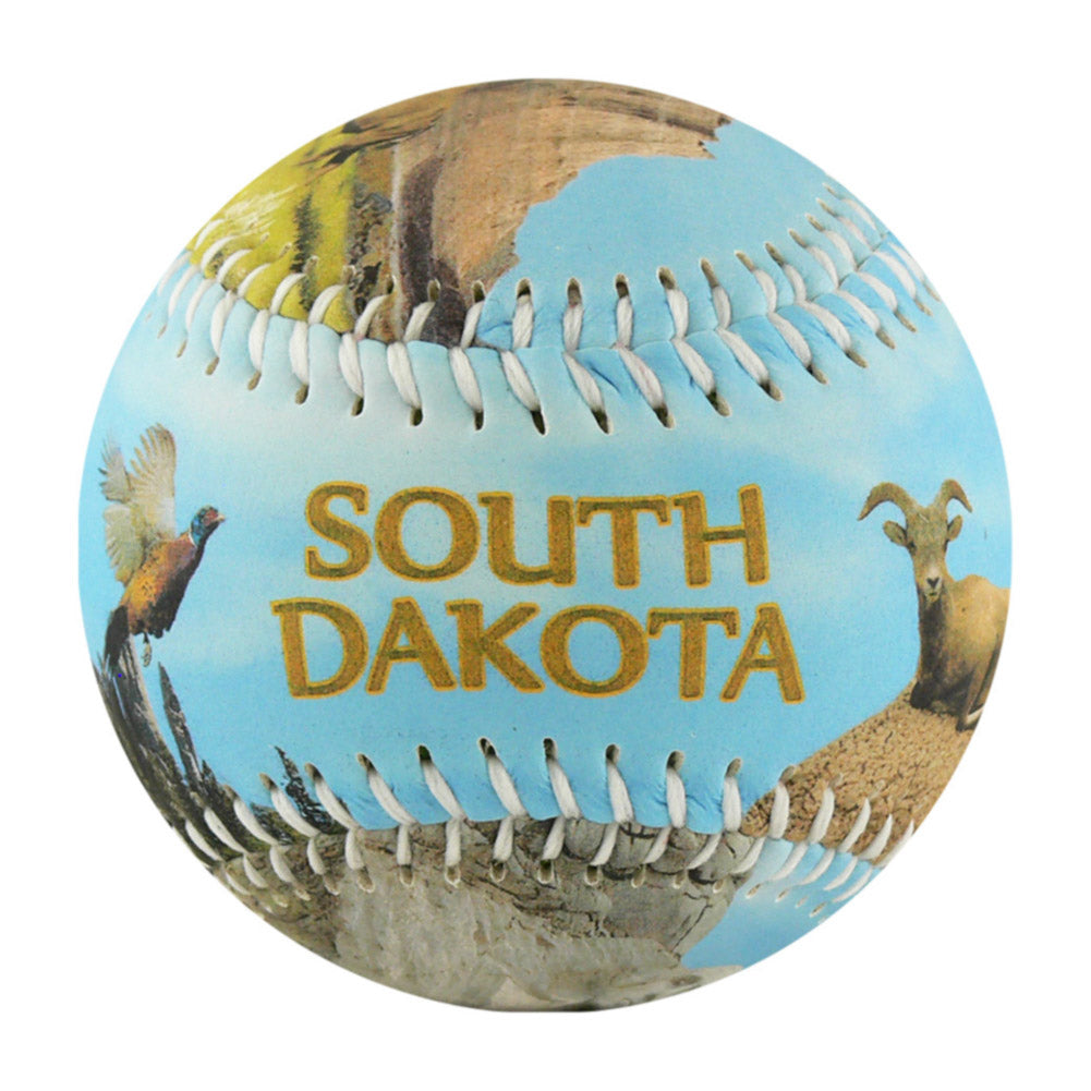 South Dakota Baseball - B-SDKAH