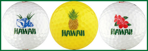 Hawaii w/ Shell, Pineapple & Hibiscus - HAVS